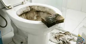 Foto: (Imagem sem texto alternativo disponivel ID [2751422])