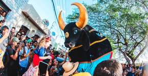 Foto: (Divulgação BF Comunicação)