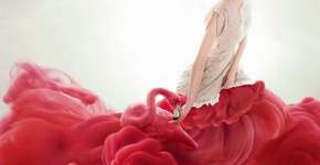 Foto: (Imagem sem texto alternativo disponivel ID [1867810])