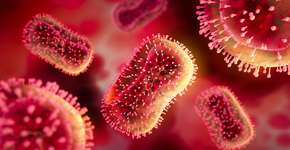 Foto: (peterschreiber.media/istock)