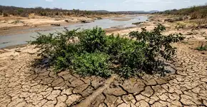 O novo paradigma de seca no Rio Colorado revela que a vegetação consome água subterrânea quando está mais quente, o que pode deixar menos fluxo para milhões de pessoas
