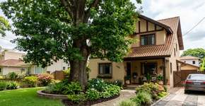 Nas casas mais seguras o quintal não tem cupim porque usam óleo de neem para proteger o tronco