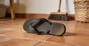 Foto: (Imagem sem texto alternativo disponivel ID [2707209])