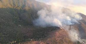 Suposto golpe do seguro de carro teria provocado incêndio em reserva no RJ