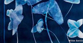 Foto: (Ricardo Hantzschel)