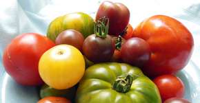 Estudo elenca os 3 alimentos que realmente ajudam a evitar câncer