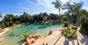 Discovery Cove tem oferta exclusiva para público brasileiro