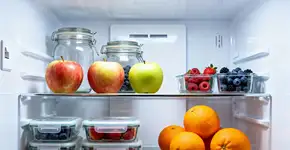 Esse erro comum transforma sua geladeira em depósito de bactérias fedorentas