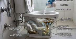 Qual é o propósito de jogar sal grosso no vaso sanitário? Os benefícios e a frequência recomendada