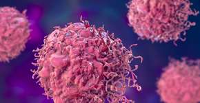 Foto: (Dr_Microbe/istock)