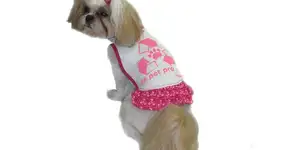 Foto: (Imagem sem texto alternativo disponivel ID [516945])