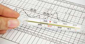 Foto: (Imagem sem texto alternativo disponivel ID [851165])