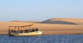 Foto: (Imagem sem texto alternativo disponivel ID [1520245])