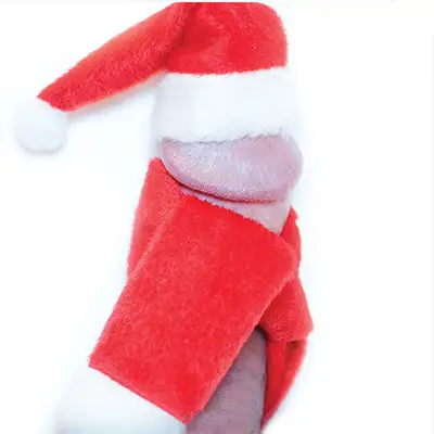 Old Saint Dick. (Foto: Soraya Doolbaz/Dicture Gallery)