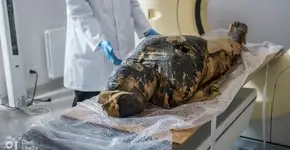 Cientistas refazem rosto de múmia egípcia encontrada grávida