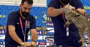 Assessor da CBF arremessa gato que havia invadido coletiva de imprensa