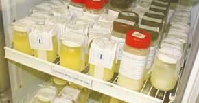 Doe para os Bancos de Leite do Estado