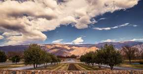 Foto: (MariaQuintian/iStock)