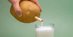 Leite de batata: por que é a nova aposta do mercado e como fazer?