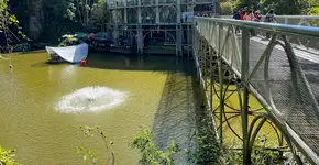 Buser oferece 50% de desconto em viagens pelo Brasil; confira