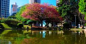 As cidades mais sustentáveis do Brasil