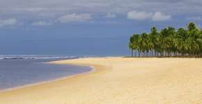 Foto: (luoman/iStock)