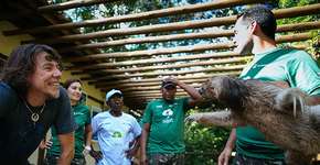 Foto: (Imagem sem texto alternativo disponivel ID [1828013])