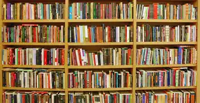 Aplicativo ajuda usuários a escolher livros pelo conteúdo