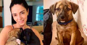 ONG divulga áudios de Claudia Ohana sobre a devolução dos cães; ouça