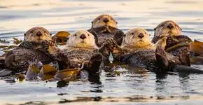 Foto: (Imagem sem texto alternativo disponivel ID [2714469])