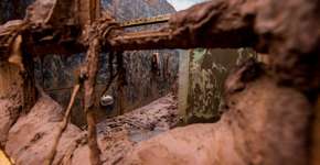 Foto: (Imagem sem texto alternativo disponivel ID [1166495])