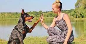 Foto: (Imagem sem texto alternativo disponivel ID [1061808])