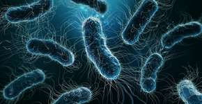 Estudo liga bactérias específicas ao desenvolvimento de Alzheimer