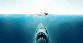 Belas Sonoriza: Tubarão