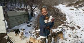 Sul-coreana de 61 anos salva cães de virarem comida