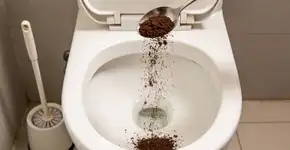 Foto: (Imagem sem texto alternativo disponivel ID [2713068])