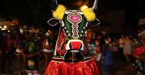 Bumba meu boi do Maranhão pode se tornar Patrimônio da Humanidade