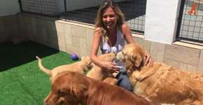 Luisa Mell resgata mais de 50 cães e gatos em São Paulo