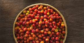 Alex Atala comanda seminário sobre alimentação sustentável