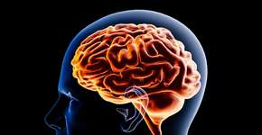 Demência: estudo revela 12 fatores que poderiam evitar até 54% dos casos