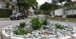 Jardins de chuva viram redutos de área verde em São Paulo