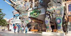 Foto: (Imagem sem texto alternativo disponivel ID [1473391])