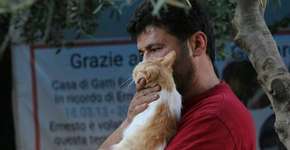 Homem decide não fugir de guerra na Síria para cuidar de gatos