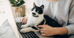 Foto: (Bogdan Kurylo/istock)
