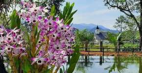 Foto: (Divulgação/Turismo Rural Joinville)