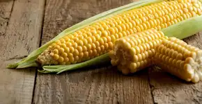 8 motivos para incluir o milho na alimentação