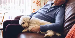 Estudo aponta para hábito em excesso que tem ligação com demência