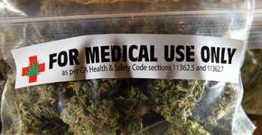 Especialista fala sobre a importância do uso medicinal da maconha