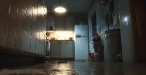 Elas entram nas casas e constroem ninhos. Aja antes que se multipliquem