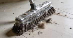 Foto: (Imagem sem texto alternativo disponivel ID [2674958])